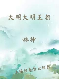 大明大明王朝