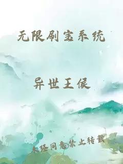 无限刷宝系统