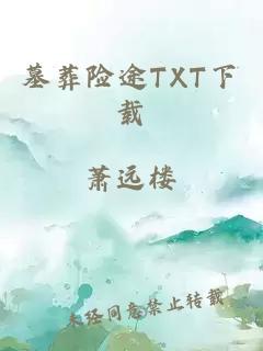 墓葬险途TXT下载