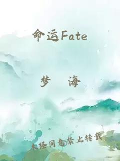 命运Fate