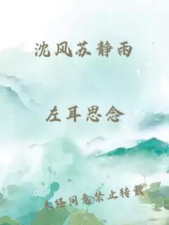 沈风苏静雨