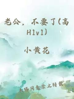 老公，不要了(高H1v1)