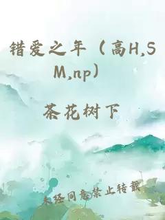 错爱之年（高H,SM,np）